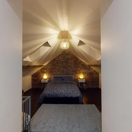 Quai Saint-leonard - La Renommee Holiday home Liege
